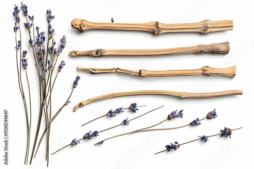 Wallpaper Mural Dried lavender stems and bamboo sticks arranged flat, rustic decor style, isolated. Torontodigital.ca