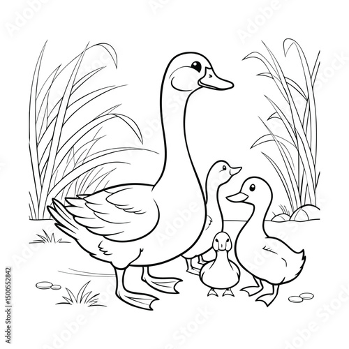 Family of Ducks in Natural Scene Line Drawing