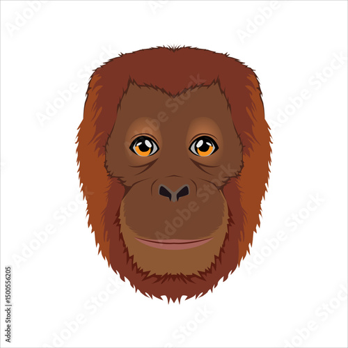 Orang utan is a indonesian critically endangered animal.