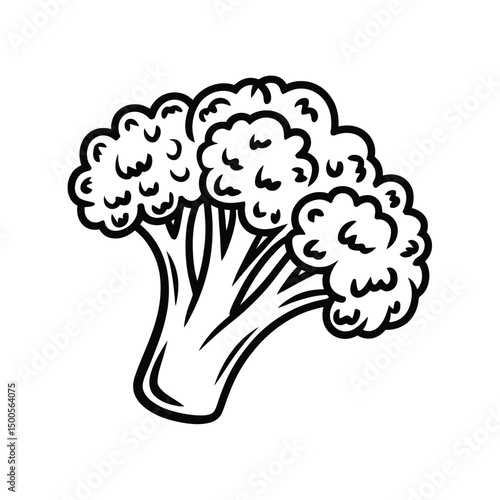 Broccoli Outline Illustration Healthy Vegetable for Coloring Book and Design Projects