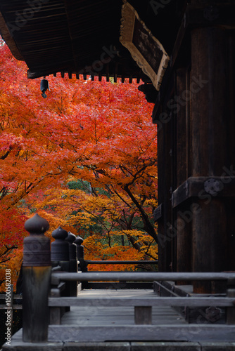 Old temple in autumn with maple trees