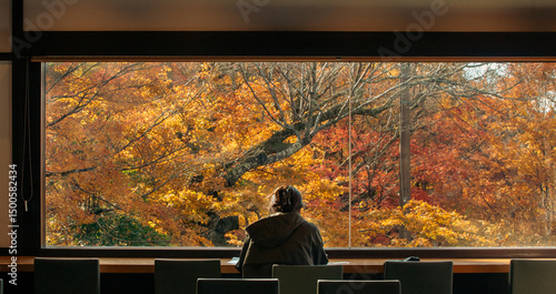 silhouette of a woman sitting in front of window with autumn maple trees