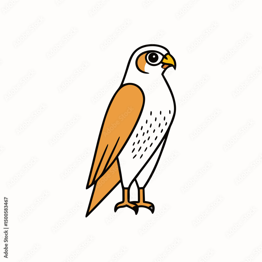 Obraz premium bird of prey