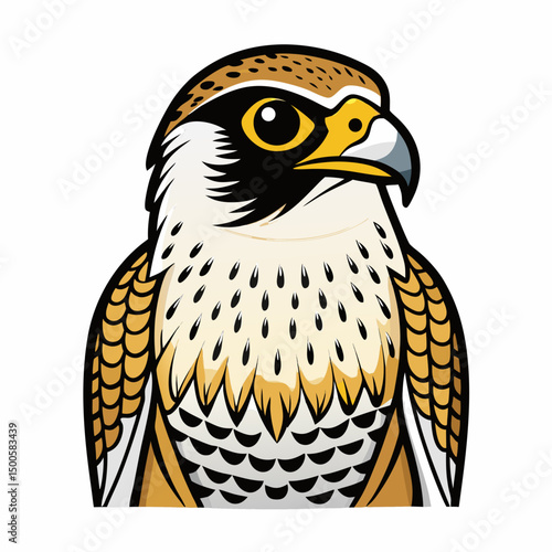 vector illustration of eagle