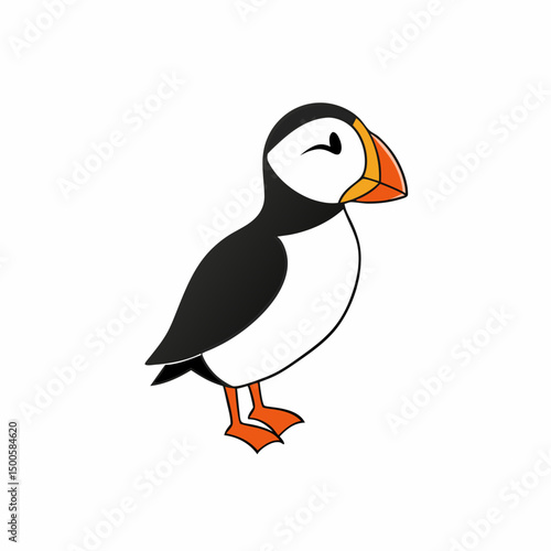 vector illustration of a bird