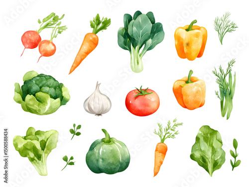 Vibrant Watercolor Vegetables Collection Farm Fresh Organic Produce Healthy Eating Food Illustration Botanical Design Elements Perfect for Cookbook Menu Restaurant Decoration Grocery Store  