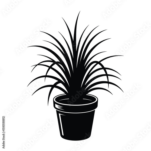 Black and white illustration of a potted air plant with long leaves