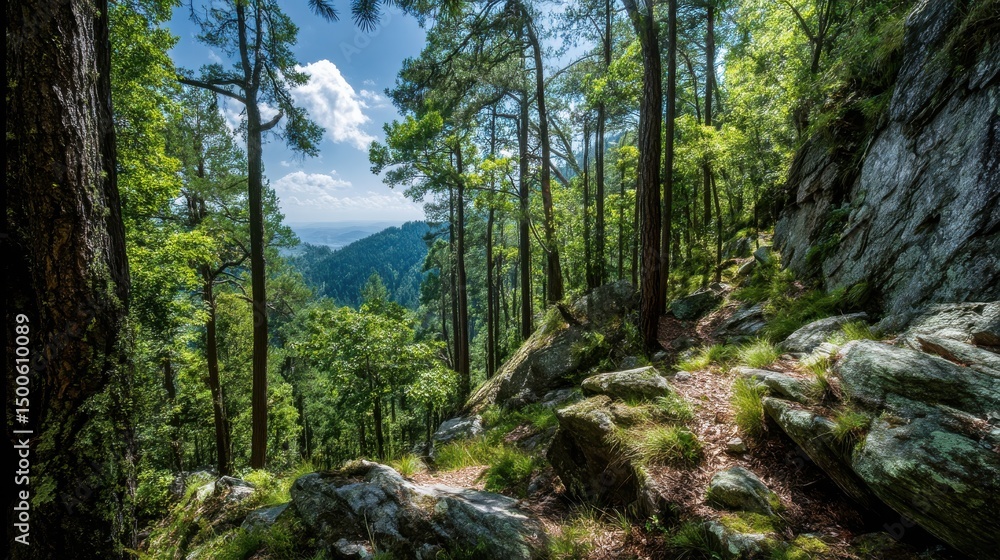 Obraz premium Scenic Mountain Path Through Lush Forest Greenery with Breathtaking View of Deep Valley and Clear Sky in the Background on a Sunny Day
