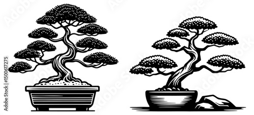 Bonsai Tree Sketch Drawing.