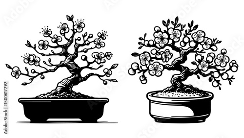 Bonsai Tree Sketch Drawing.