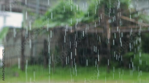 A heavy rain or raindrop falling over the home roof green tree footage blur background, weather forecast and rain season, 4K high quality video footage