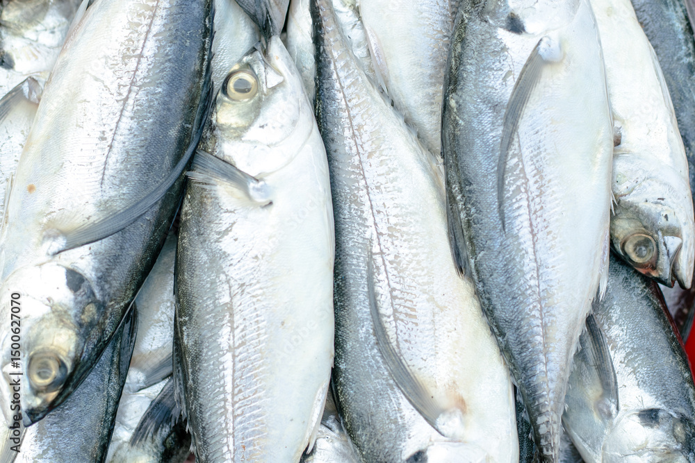 Obraz premium fresh fish on the market