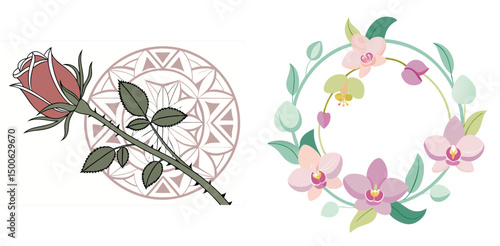 Artistic floral illustration with rose and geometric pattern and orchid flower wreath beautiful plant designs