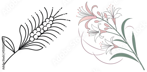 Botanical illustration featuring wheat sheaf and lily branch elegant floral vector design
