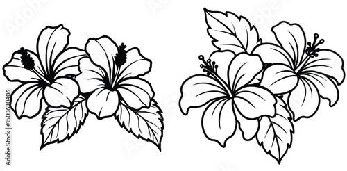 And white hibiscus flowers vector illustration tropical floral design outlines exotic flora line art elements