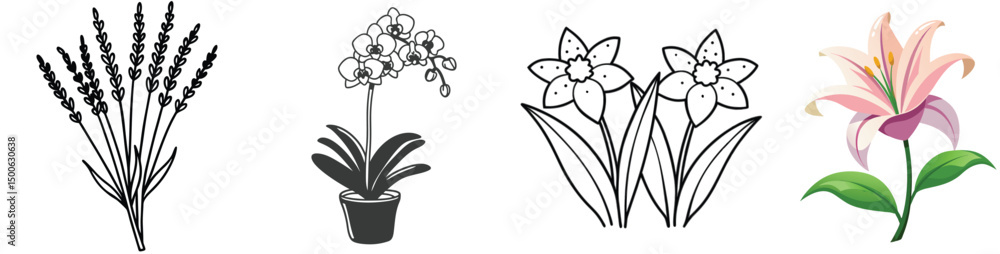 Collection of stylized floral vector illustrations lavender orchid daffodils and lily flower graphic design Collection of stylized floral vector illustrations lavender orchid daffodils and lily flower graphic design