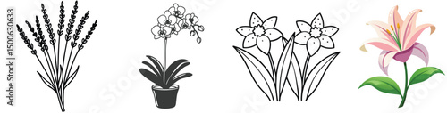 Collection of stylized floral vector illustrations lavender orchid daffodils and lily flower graphic design