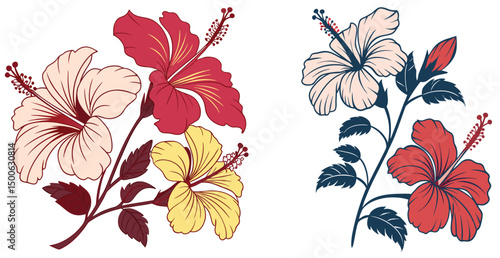 Colorful hibiscus flowers with outlines decorative floral design elements elegant spring flowers for summer