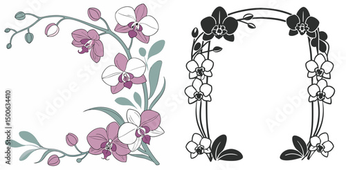 Orchid flower vector illustration graphic design elements with decorative borders and floral frames for invitations