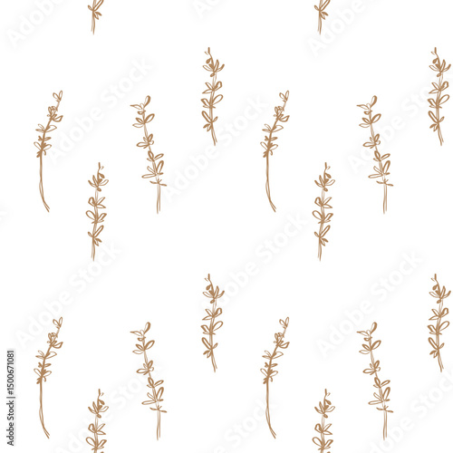 Seamless thyme pattern with hand drawn leaves for fabric packaging and kitchen decor