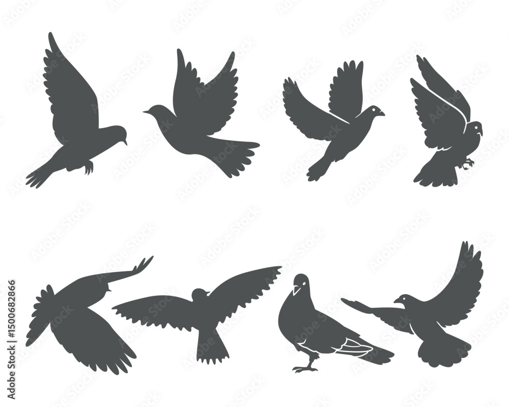 Obraz premium Pigeon silhouette, flying dove silhouette vector