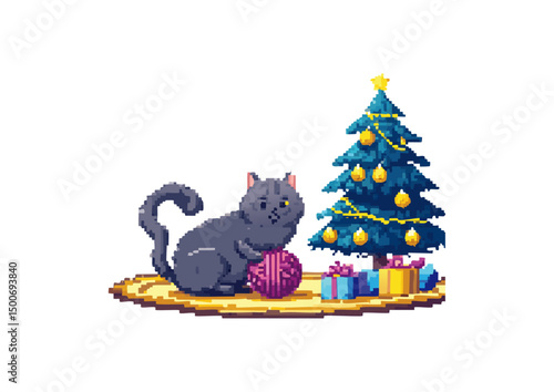 British Shorthairs can be prone to weight gain if their diet and exercise are not managed. Regular play sessions, even short bursts of activity, help burn calories, maintain muscle tone