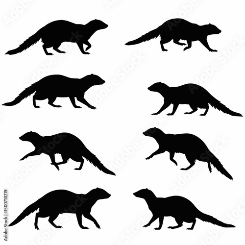 Mink silhouette animal mammal black wildlife