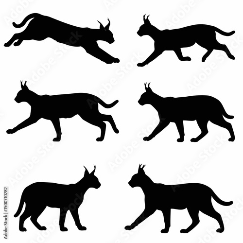 Lynx wildcat animal silhouette set