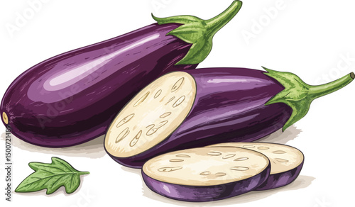Fresh Eggplant on White Background Clean Vector Design
