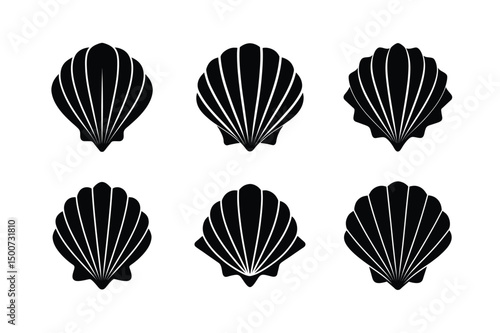 beach seashell vector clipart cute style photo