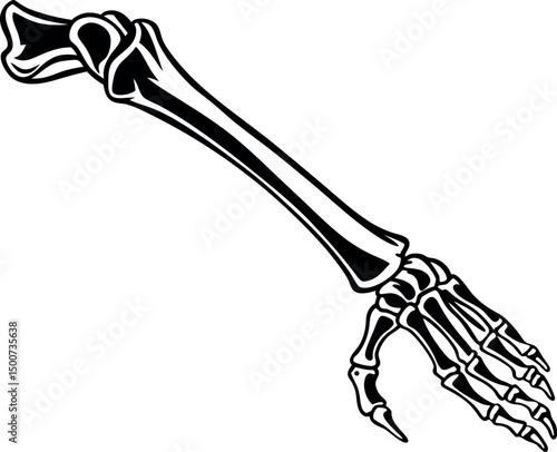 Highly Detailed Human Arm Bone Anatomy Illustration Featuring Humerus, Radius, Ulna, and Hand Skeletal Structure for Medical and Educational Purposes