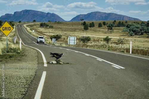 Flinders Ranges a vast grassland landscape with clear sky and serene wilderness in South Australia