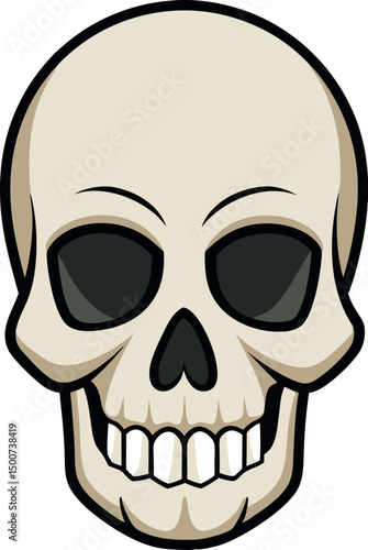 Detailed Human Skull Anatomy Illustration: Medical Diagram of Facial Structure, Bone Composition, Healthcare Reference for Education and Science