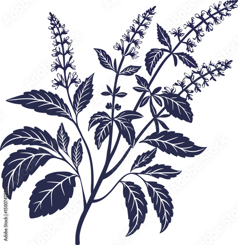 Tulsi Plant Silhouette Illustration Design. Holy Basil Tulsi Plant Silhouette Art. Minimal Tulsi Plant Silhouette for Nature Themes. Tulsi Leaf and Plant Silhouette Illustration