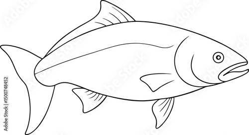 A streamlined illustration depicts a salmon fish with distinct fins outlined in black against white