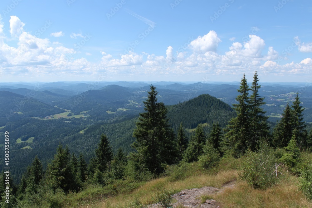 Fototapeta premium Emerald Forest Vista Under a Bright Blue Sky