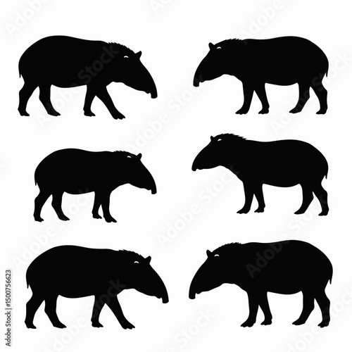 Tapir silhouette set wildlife animal fauna nature