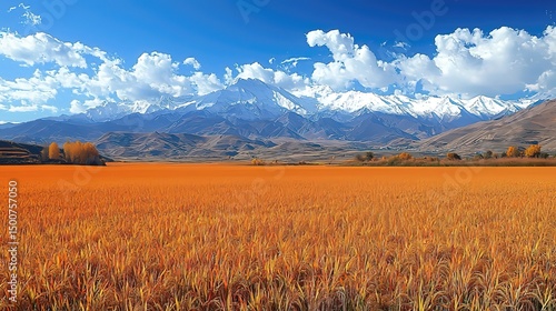 Vibrant Orange Fields and Snow-Capped Mountains: Harvest Season Splendor
