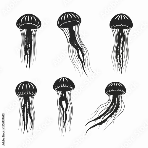Jellyfish sea animal marine wildlife aquatic ocean