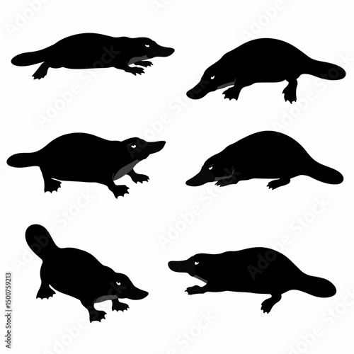 Silhouette of platypus animals isolated on white