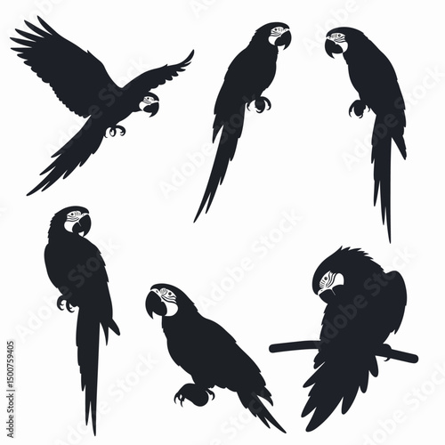 Macaw bird silhouette perched and flying set