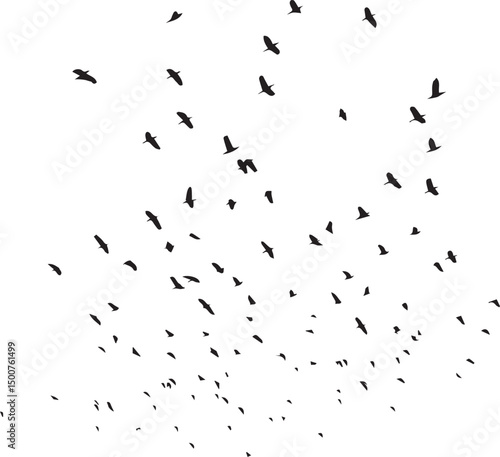Minimalist Flock of Birds in Flight on White Sky Background