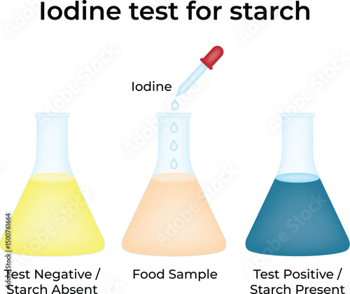 Iodine Test for Starch Visual Guide
