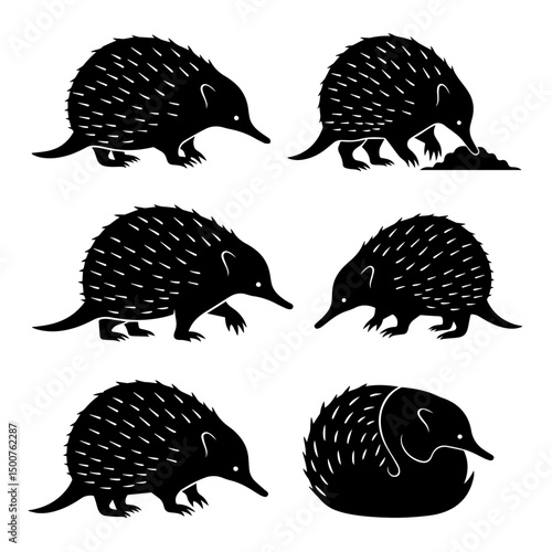 Echidna set silhouettes animals nature wildlife