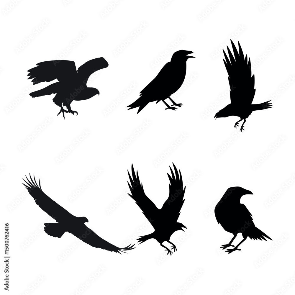 Obraz premium Eagle silhouette, flying bird silhouette