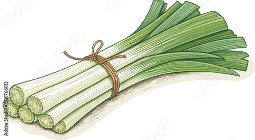 Fresh Leeks Illustration Vibrant Green Vegetables on White Background
