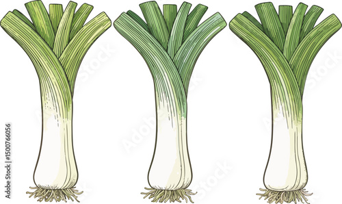 Fresh Leeks Illustration Vibrant Green Vegetables on White Background