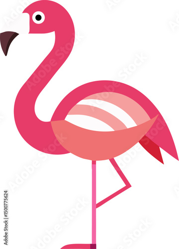 flamingo vector illustration