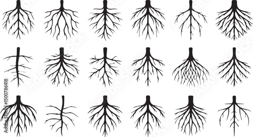Collection of various tree root systems silhouettes