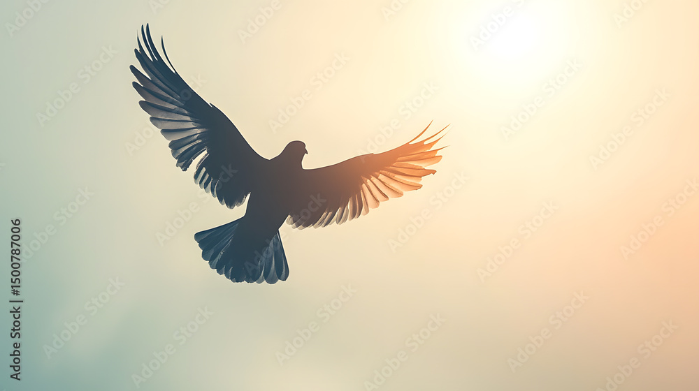 Obraz premium Dove in Flight: A silhouette of a dove in flight against a warm, sunlit sky, conveying a sense of peace, hope, and freedom. 
